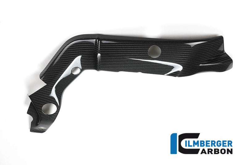 Ilmberger BMW S 1000 XR  Ilmberger carbon frame afdekking 2015-2019 Framebescherming