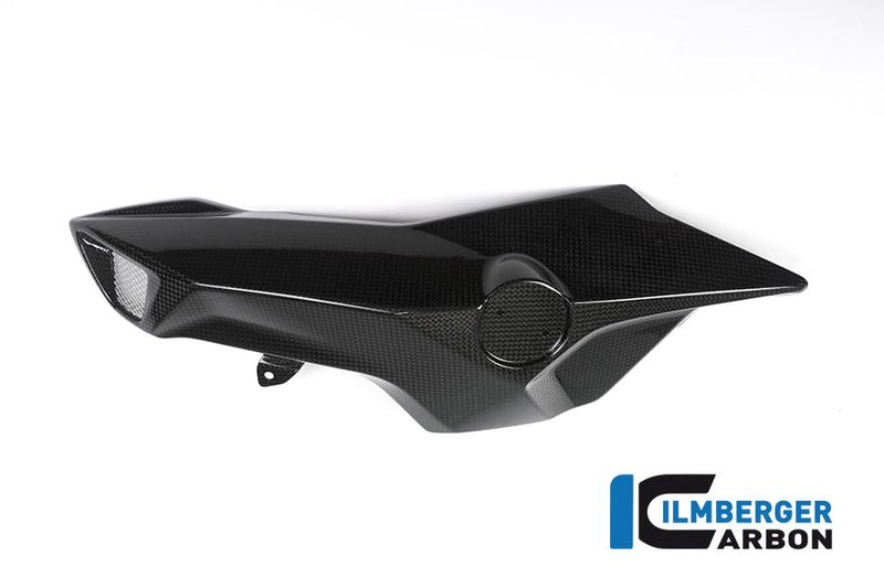 Ilmberger ASL.102.F8R15.K BMW F 800 R Ilmberger carbon luchtinlaat 2015-2019 Kuipdelen