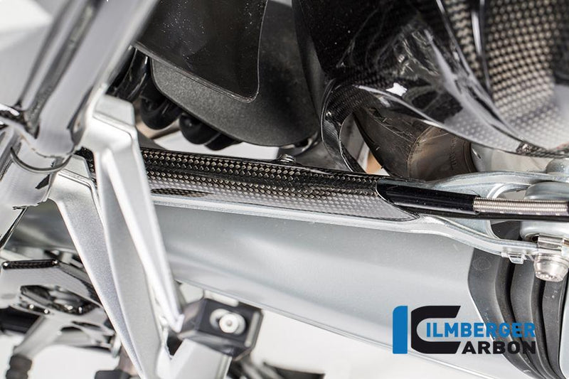 Ilmberger BLA.018.GS12L.K BMW R 1200 LC Ilmberger carbon remleiding beschermer 2013-2020 Remleiding beschermer