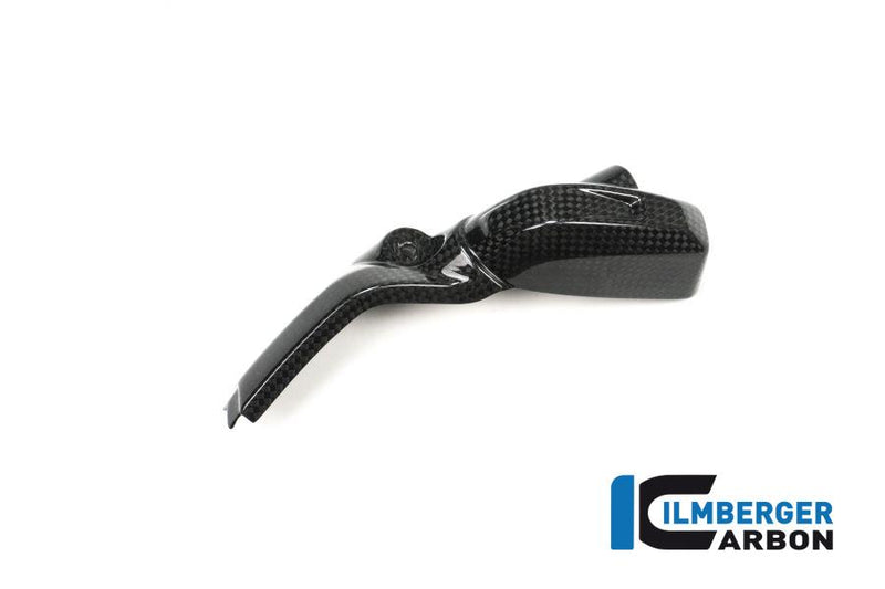 Ilmberger EDL.001.LCBOX.K BMW R 1200 LC Ilmberger carbon injectorafdekking 2013-2020 Motorblok bescherming