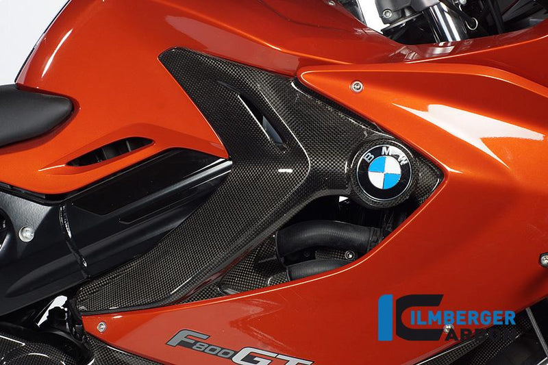 Ilmberger BMW F 800 GT Ilmberger carbon zijkuip afdekking Kuipdelen