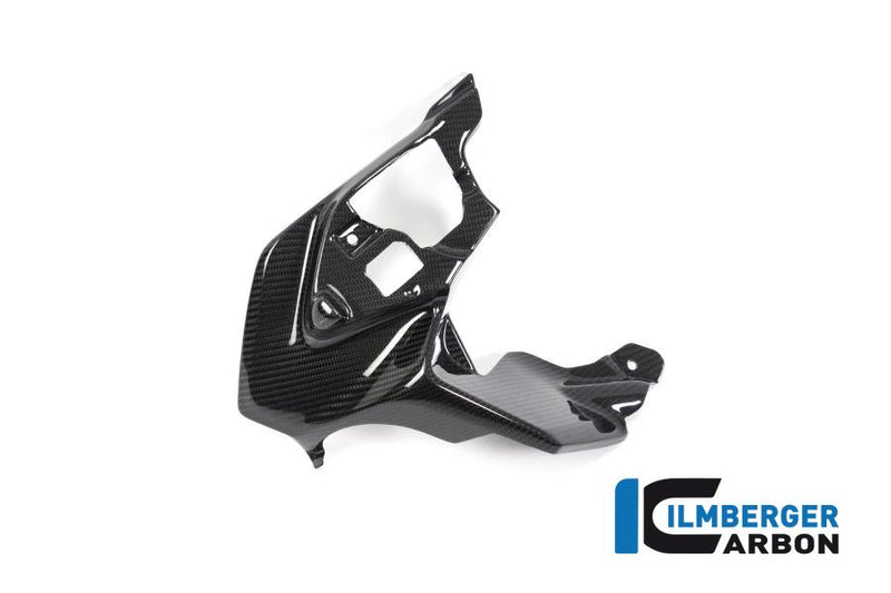 Ilmberger BMW R 1250 GS Ilmberger carbon radiatorluchtgeleiding Kuipdelen