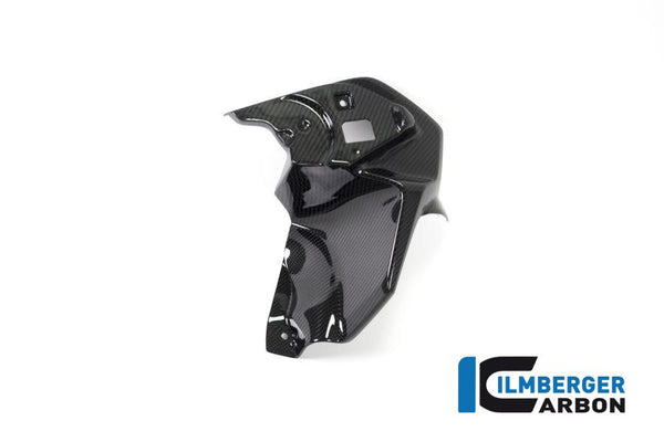 Ilmberger LAL.021.GS19T.K BMW R 1250 GS Ilmberger carbon radiatorluchtgeleiding Kuipdelen