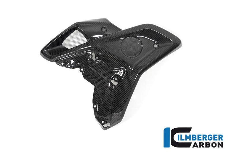 Ilmberger WKL.026.GS19T.K BMW R 1250 GS Ilmberger carbon luchtinlaatafdekking Kuipdelen